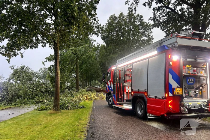 natuur dommelerdijk dalfsen