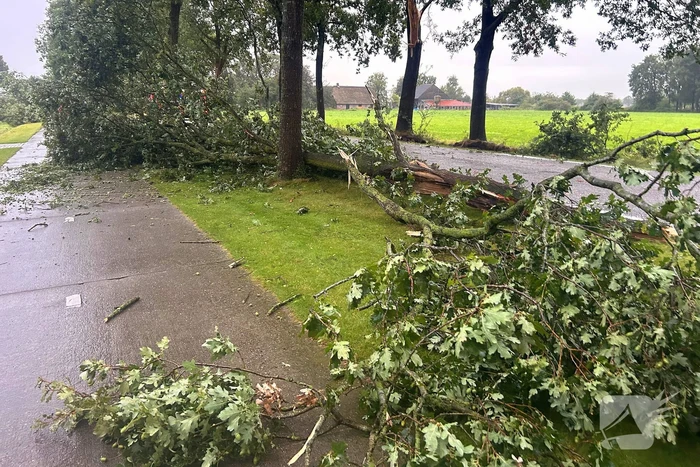 Brandweer druk met stormschade afhandelen
