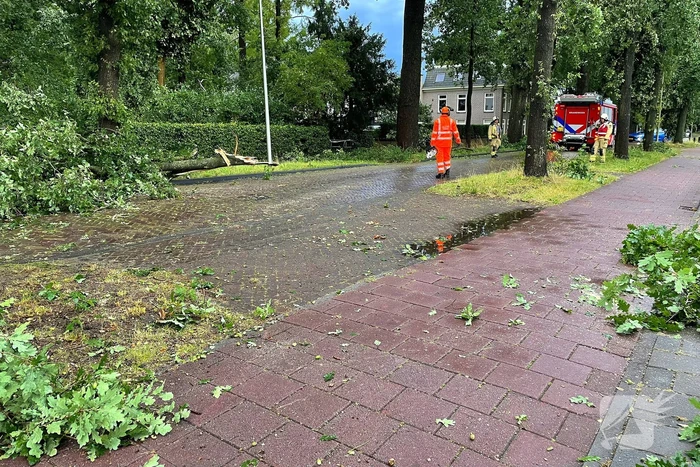 natuur werkhorst meppel