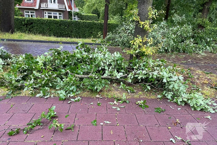 Boom breekt af en belandt naast weg
