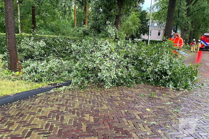 Boom breekt af en belandt naast weg