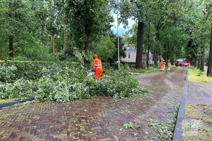 Boom breekt af en belandt naast weg