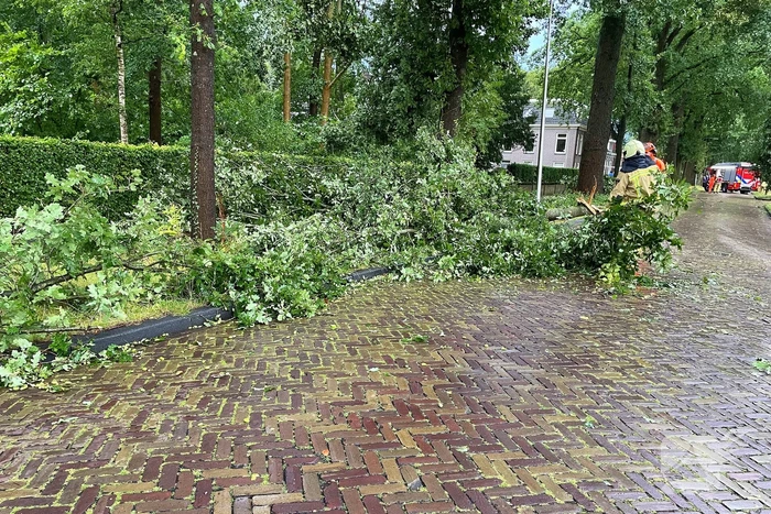 Boom breekt af en belandt naast weg