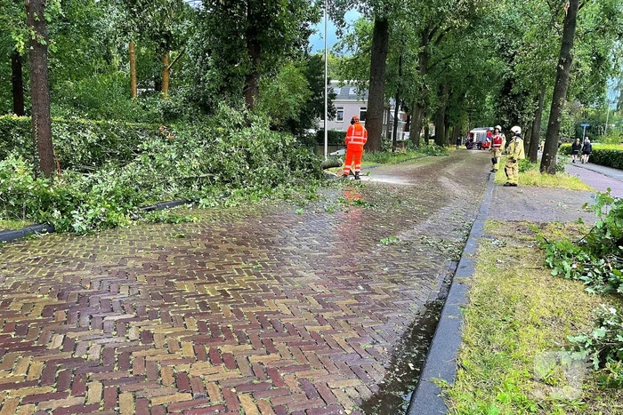 Boom breekt af en belandt naast weg