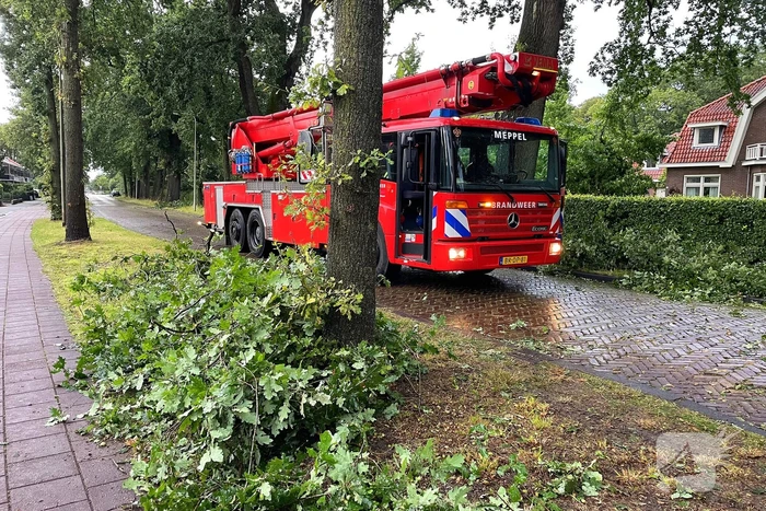 Boom breekt af en belandt naast weg