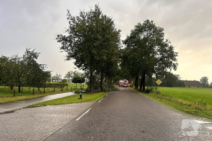 Brandweer druk met stormschade afhandelen