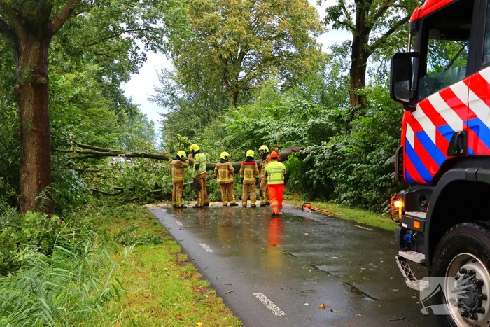 natuur randmeerweg nunspeet