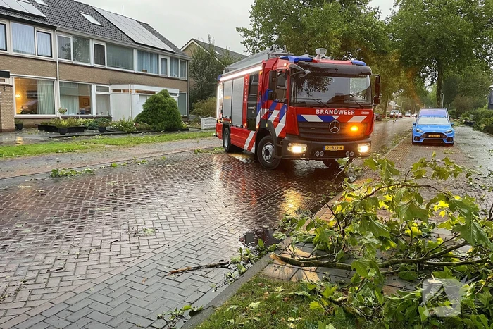 Grote takken belanden op auto vlak voor woning