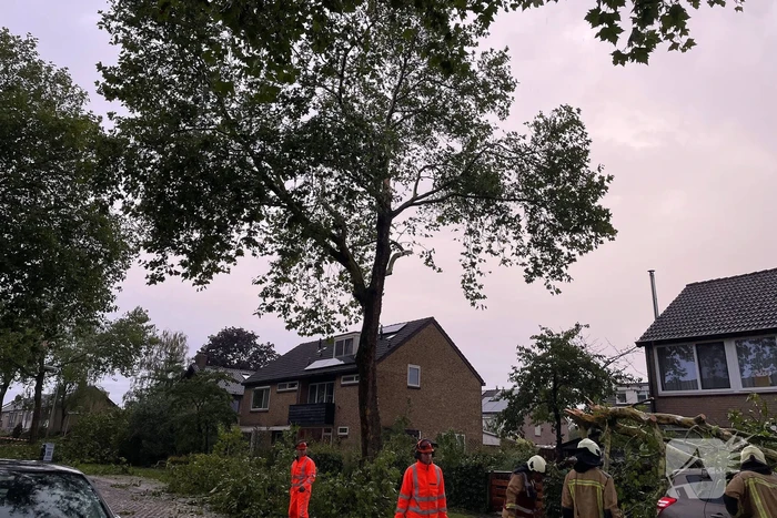Grote takken belanden op auto vlak voor woning