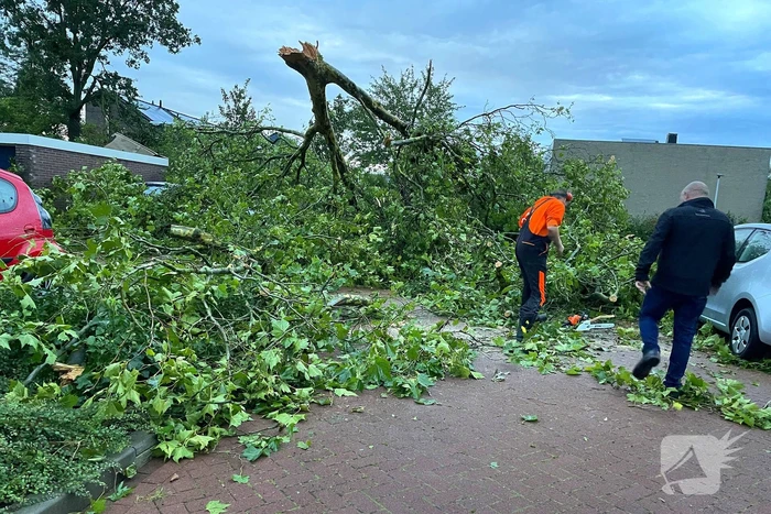 Ravage in straat door storm