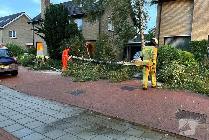 Ravage in straat door storm