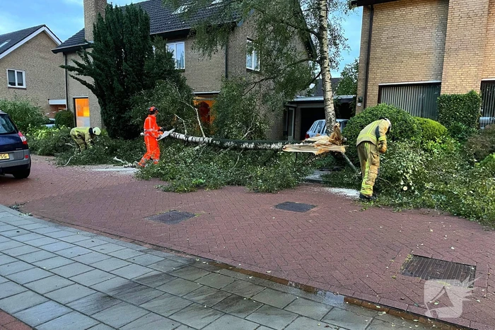 Ravage in straat door storm