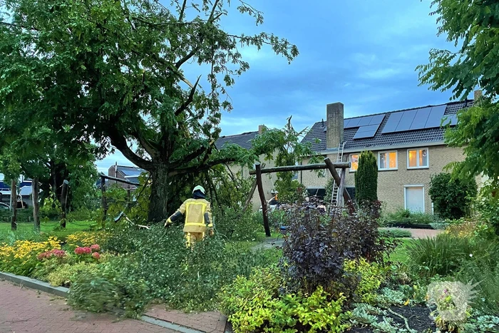 Ravage in straat door storm