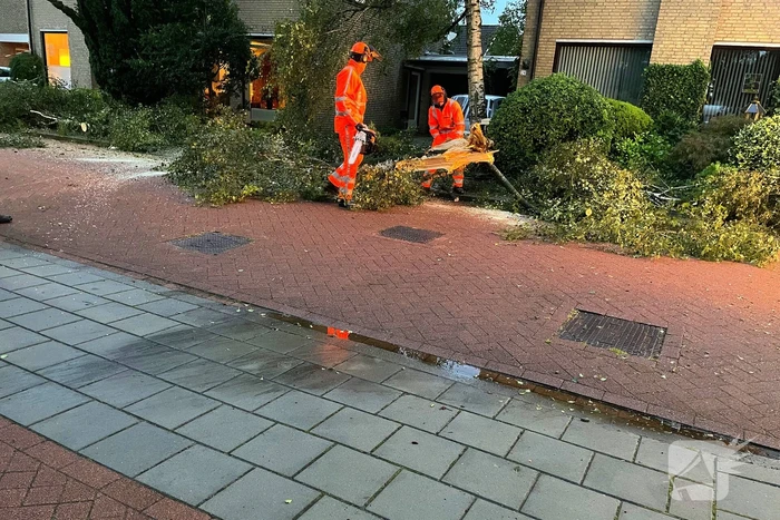 Ravage in straat door storm
