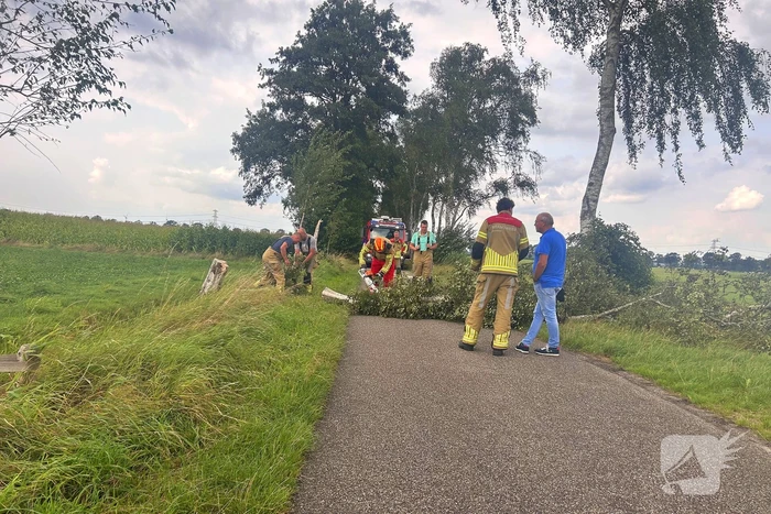 natuur welsummerveldweg dalfsen