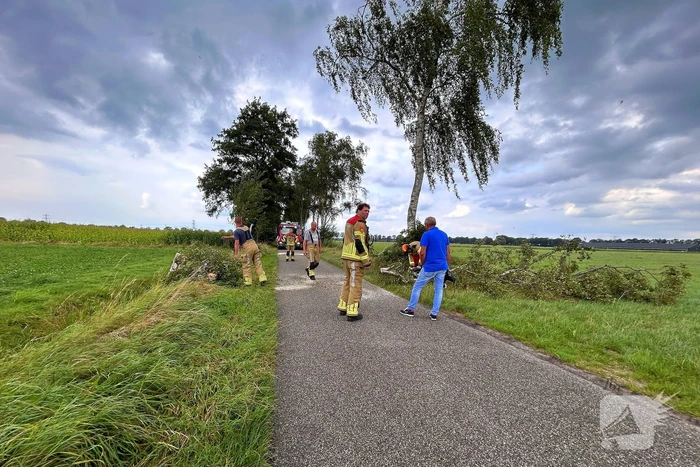 Omgevallen boom verspert wegdek
