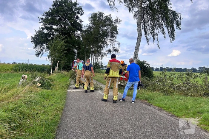 Omgevallen boom verspert wegdek