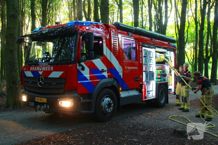 Brand in bos beperkt gebleven