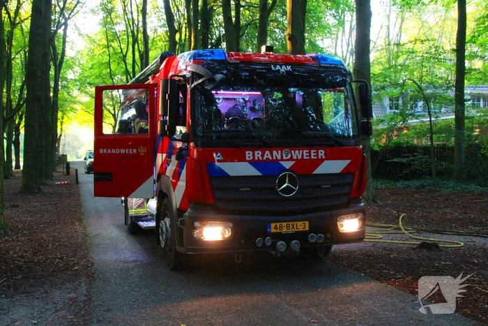 Brand in bos beperkt gebleven