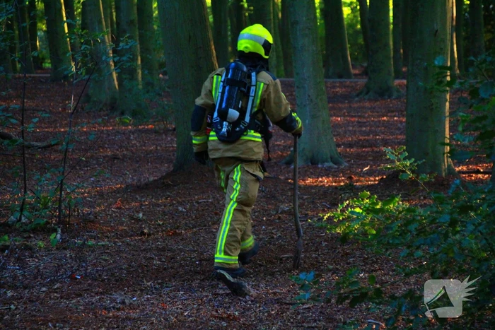 Brand in bos beperkt gebleven