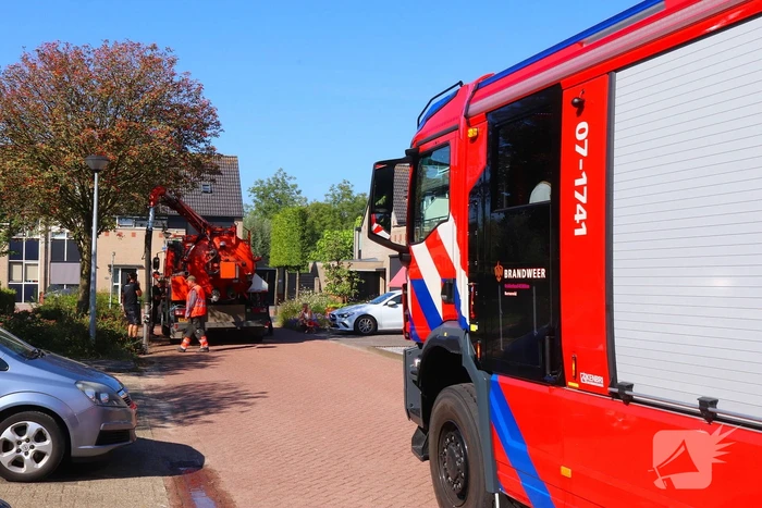 brand schapendrift barneveld