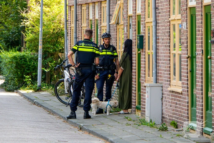 Vermist 6-jarig meisje snel gevonden dankzij uitgebreide zoekactie