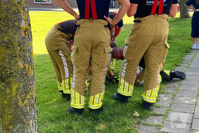 Brandweer redt kraai uit benarde situatie in boom