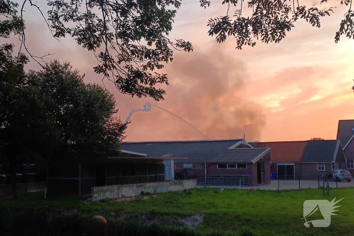 Grote uitslaande brand bij veehouderij