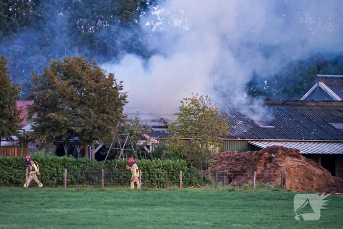 Grote uitslaande brand bij veehouderij