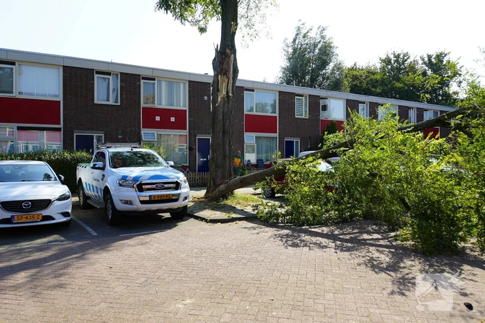 Boom waait om en valt op auto