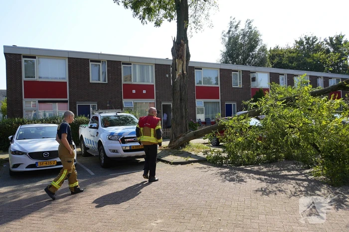 Boom waait om en valt op auto