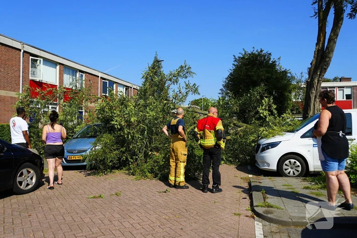 Boom waait om en valt op auto