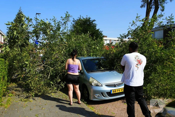Boom waait om en valt op auto
