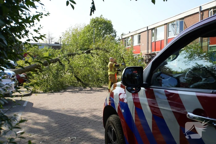 Boom waait om en valt op auto