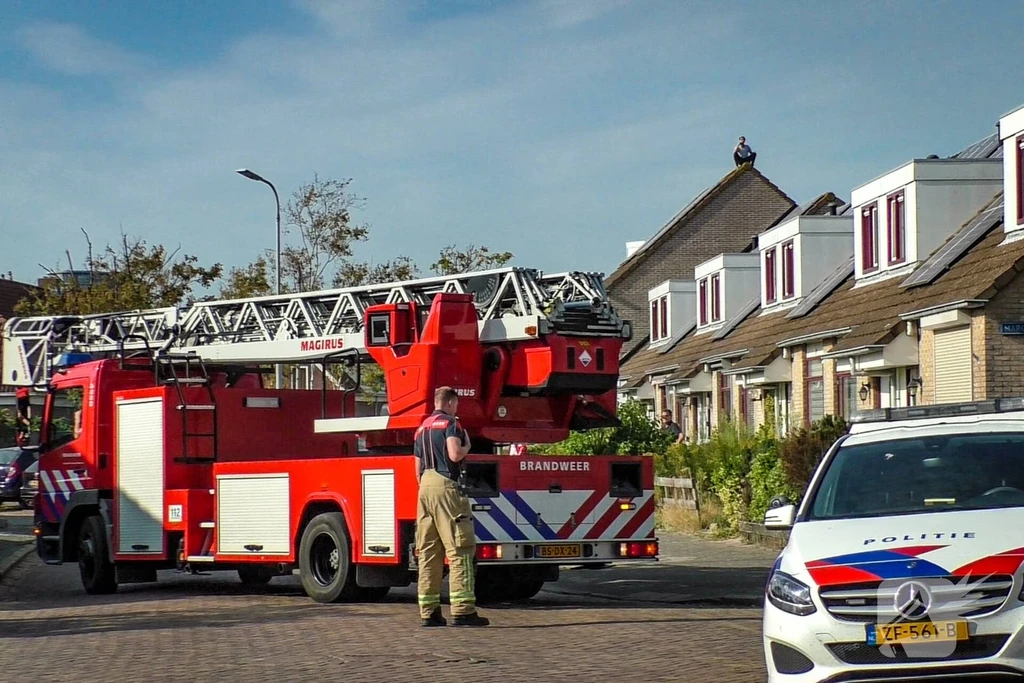 Irislaan Nieuws Vlissingen 