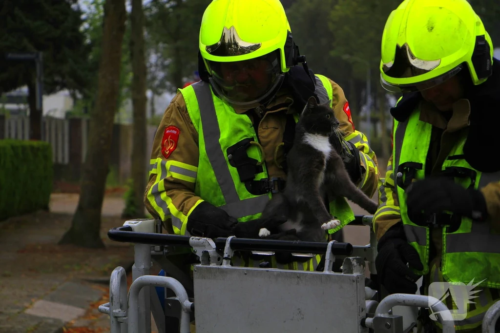 Irenelaan Nieuws Weert 
