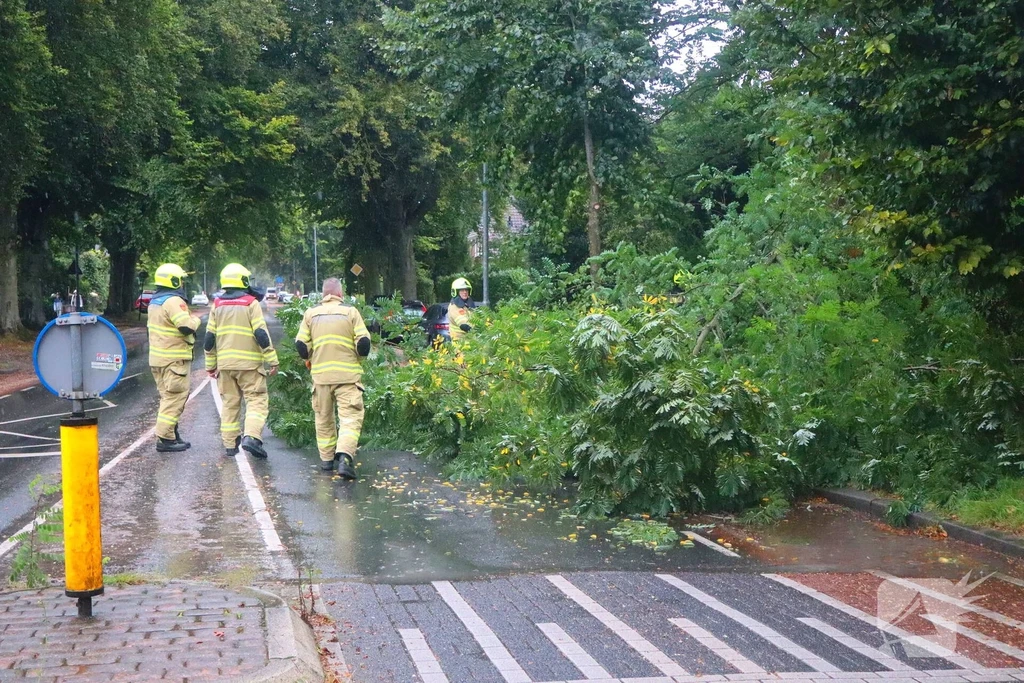 Rozendaalselaan Nieuws Velp 