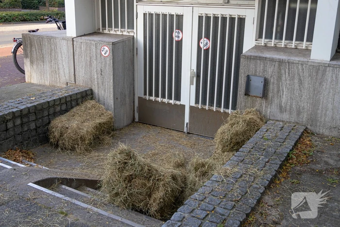 Nee tegen noodopvang in Naarden
