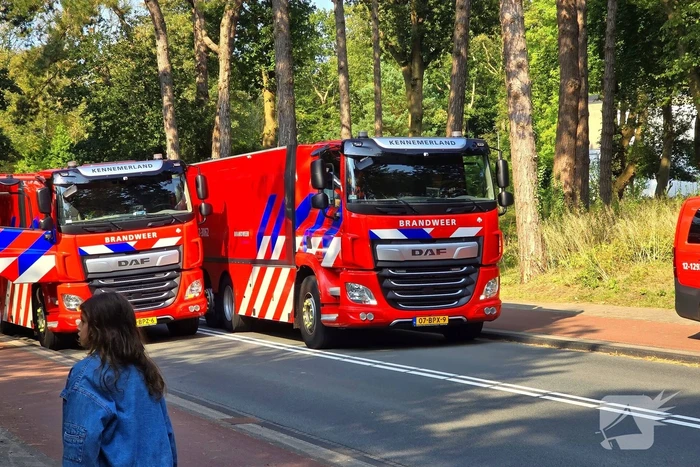 Brandweer ingezet vanwege duinbrand