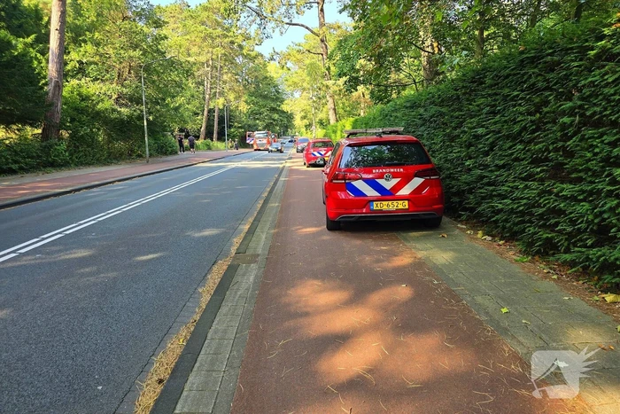 Brandweer ingezet vanwege duinbrand