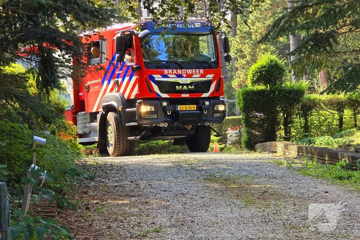 Brandweer ingezet vanwege duinbrand