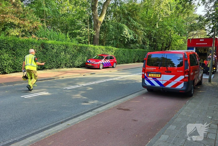 Brandweer ingezet vanwege duinbrand