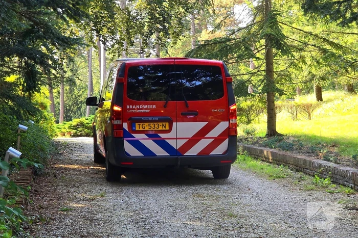 Brandweer ingezet vanwege duinbrand