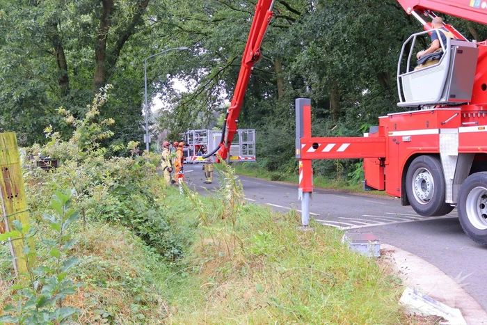 Gevaarlijke tak veroorzaakt wegafsluiting