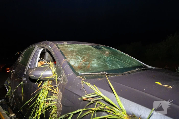 Auto slaat over de kop en belandt in sloot