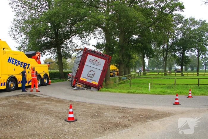 Vrachtwagen met biggen belandt in greppel