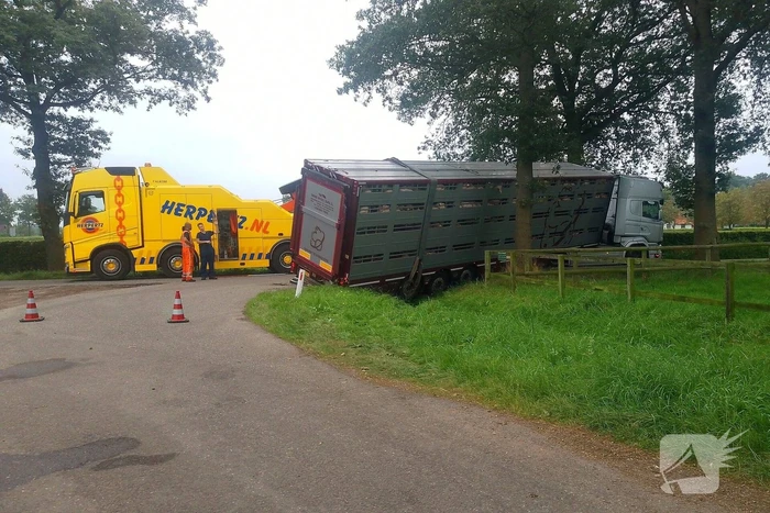 Vrachtwagen met biggen belandt in greppel