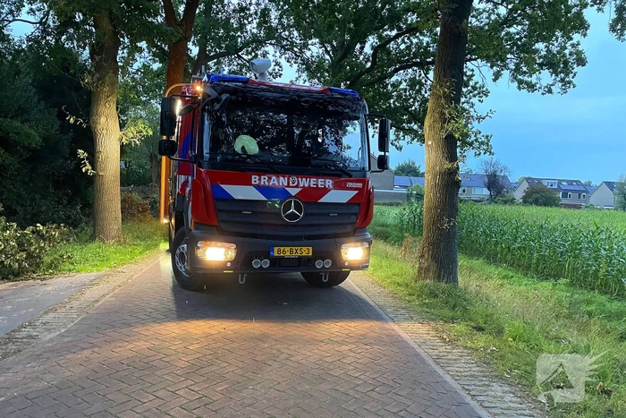 Gevaarlijk hangende tak dreigt te vallen