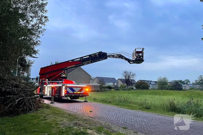 Gevaarlijk hangende tak dreigt te vallen