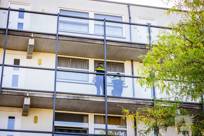 nieuws de gouden ploeg amersfoort